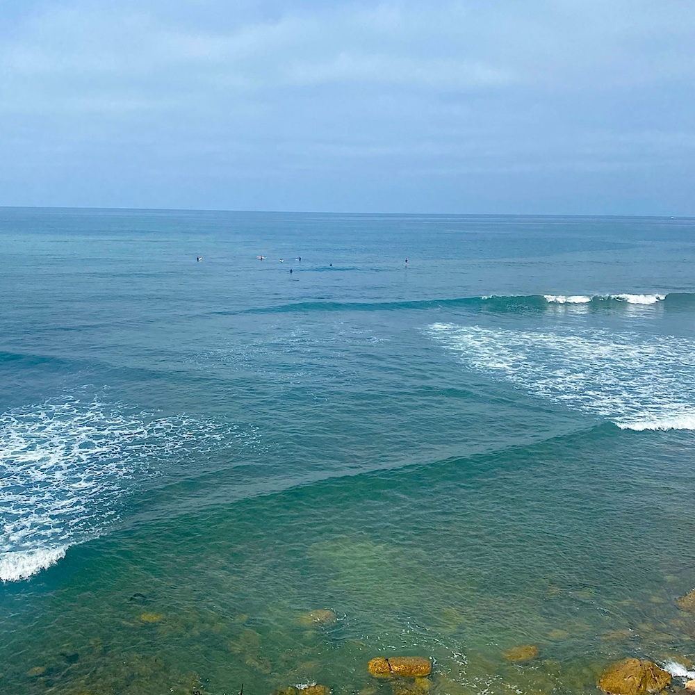 Meet your Posher, Ash